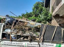 Best Attic Cleanout  in Toast, NC